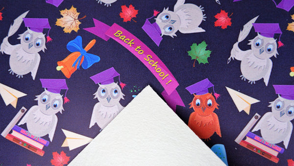 "Back to School Owls" Classic Faux Leather sheet